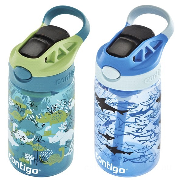 Contigo Ashland 2.0 Tritan Water Bottle With Autospout Lid, 2-pack