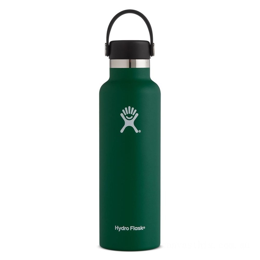 Hydro Flask 21oz Standard Mouth Water Bottle Sage BHDY2512 Best Offer