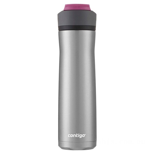 Contigo ASHLAND CHILL 2.0 Stainless Steel Water Bottle with AUTOSPOUT® Lid, Stainless Steel with Dragon Fruit, 24 oz BCC2140 on Sale