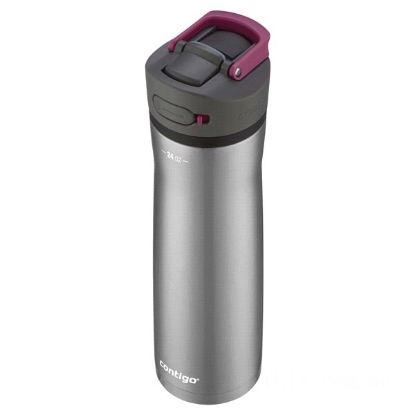 Contigo ASHLAND CHILL 2.0 Stainless Steel Water Bottle with AUTOSPOUT® Lid, Stainless Steel with Dragon Fruit, 24 oz BCC2140 on Sale