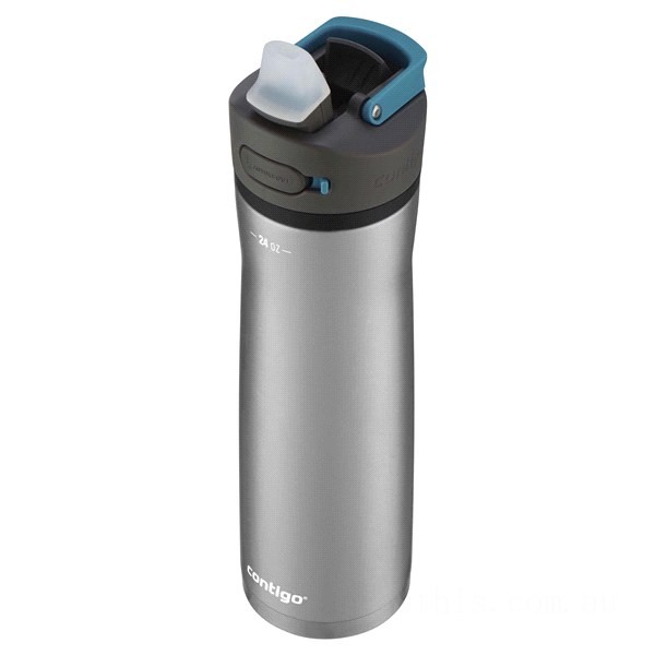Contigo ASHLAND CHILL 2.0 Stainless Steel Water Bottle with AUTOSPOUT® Lid, Stainless Steel with Juniper, 24 oz BCC2141 on Sale