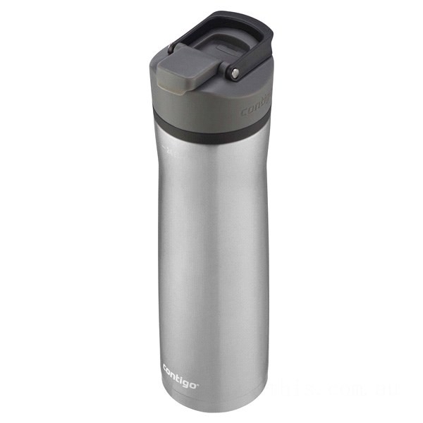 Contigo CORTLAND CHILL 2.0 Stainless Steel Water Bottle with AUTOSEAL® Lid, Stainless Steel with Licorice,24 oz BCC2146 on Sale