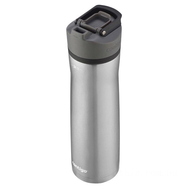 Contigo CORTLAND CHILL 2.0 Stainless Steel Water Bottle with AUTOSEAL® Lid, Stainless Steel with Licorice,24 oz BCC2146 on Sale