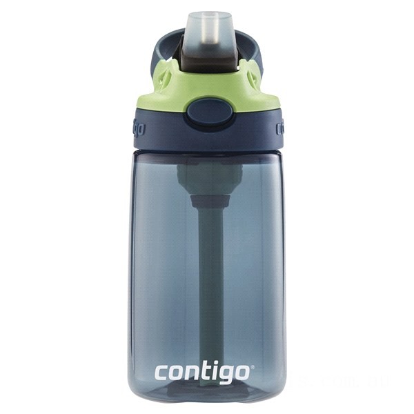 Contigo Kids Water Bottle with Redesigned AUTOSPOUT Straw, 14 oz, Blueberry & Green Apple BCC2153 Limited Sale