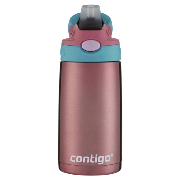 Contigo Kids Stainless Steel Water Bottle with Redesigned AUTOSPOUT Straw, Painted Punch, 13 oz BCC2173 Discounted