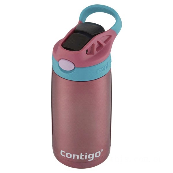 Contigo Kids Stainless Steel Water Bottle with Redesigned AUTOSPOUT Straw, Painted Punch, 13 oz BCC2173 Discounted