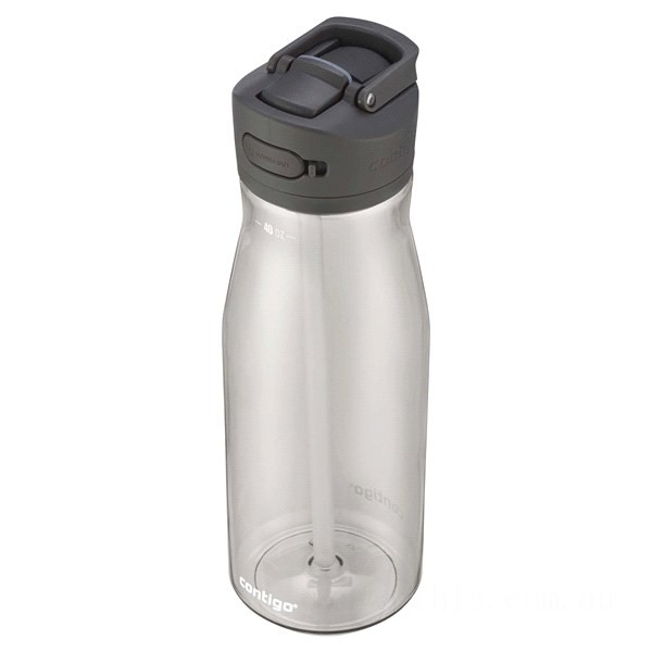 Contigo ASHLAND 2.0 Tritan Water Bottle with AUTOSPOUT® Lid, Sake, 40 oz BCC2169 Limited Sale