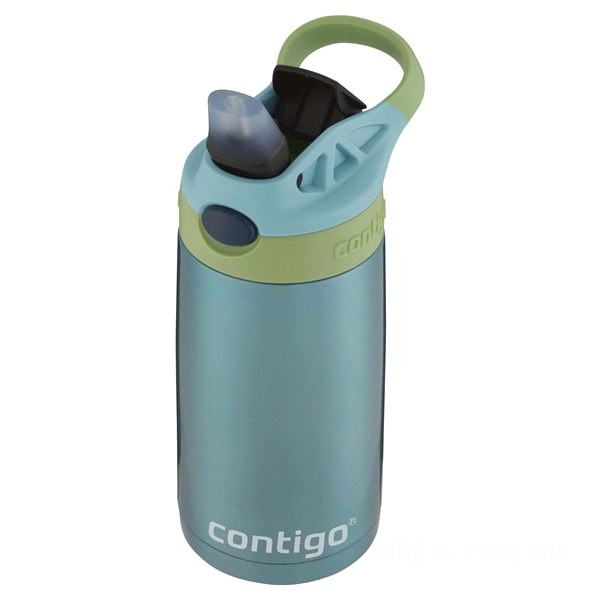 Contigo Kids Stainless Steel Water Bottle with Redesigned AUTOSPOUT Straw, Painted Ocean, 13 oz BCC2174 Discounted