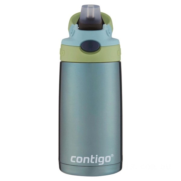 Contigo Kids Stainless Steel Water Bottle with Redesigned AUTOSPOUT Straw, Painted Ocean, 13 oz BCC2174 Discounted