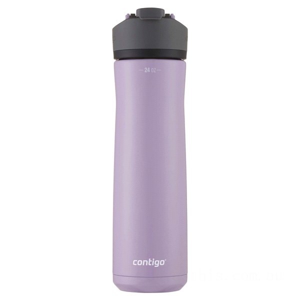 Contigo CORTLAND CHILL 2.0 Stainless Steel Water Bottle with AUTOSEAL® Lid, Painted Lavender, 24 oz BCC2175 Discounted