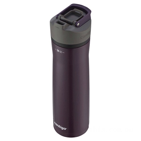 Contigo CORTLAND CHILL 2.0 Stainless Steel Water Bottle with AUTOSEAL® Lid, Painted Merlot, 24 oz BCC2181 Clearance Sale