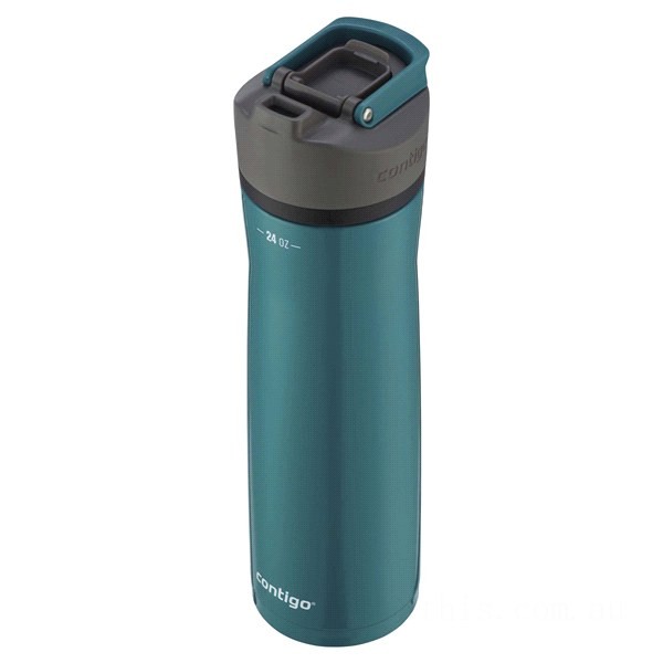 Contigo CORTLAND CHILL 2.0 Stainless Steel Water Bottle with AUTOSEAL® Lid, Painted Spirulina, 24 oz BCC2185 Clearance Sale