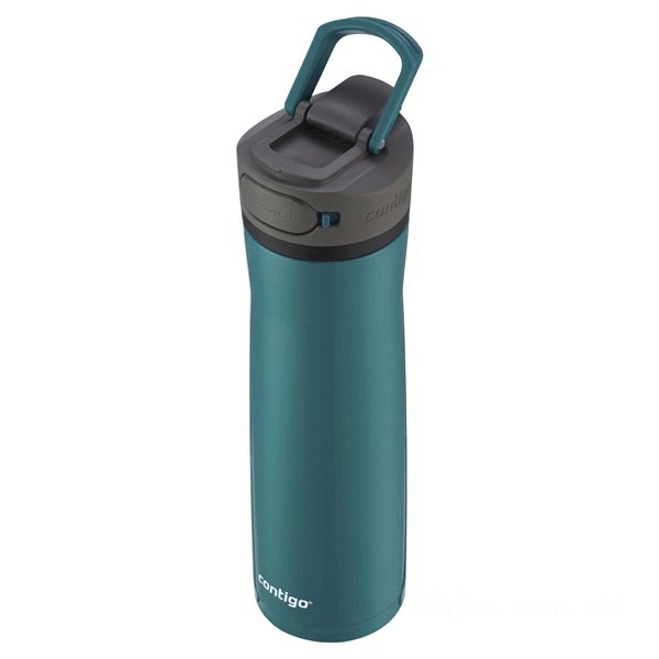 Contigo CORTLAND CHILL 2.0 Stainless Steel Water Bottle with AUTOSEAL® Lid, Painted Spirulina, 24 oz BCC2185 Clearance Sale